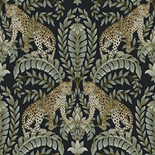 Black &amp;amp; Green Jungle Leopard &amp;amp; Leaf Wallpaper