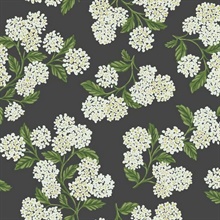 Black, Green &amp; White Hydrangea Floral Rifle Paper Wallpaper