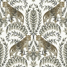 Black &amp; White Jungle Leopard &amp; Leaf Wallpaper