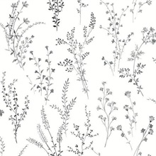 Black &amp; White Wildflower Sprigs Floral Wallpaper