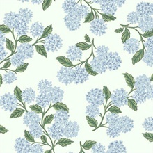 Blue &amp; White Hydrangea Floral Rifle Paper Wallpaper