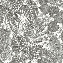 Brentwood Black &amp; White Textured Palm Leaves Wallpaper