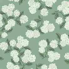 Green &amp;amp; White Hydrangea Floral Rifle Paper Wallpaper