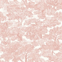 Spinney Rose Toile