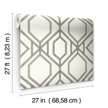 TC2635 | White & Taupe Sawgrass Trellis Geometric Hexagon Wallpaper