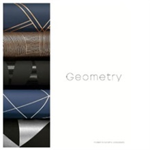 Geometry