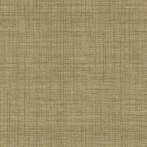 Brown Linen Texture