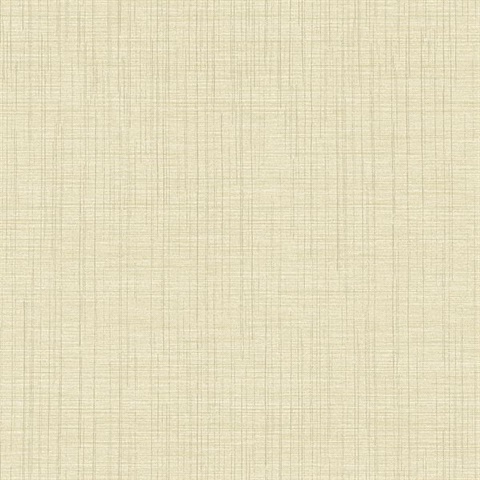 Taupe Linen Texture