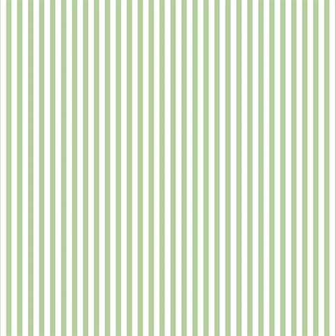 Green & Whte Stripe