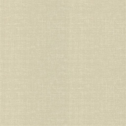 Corin Beige Texture