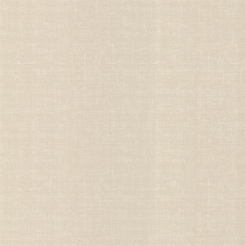 Corin Taupe Texture