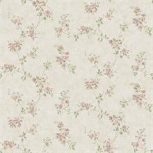 Rose Valley Pink Floral Scroll | CCB64195