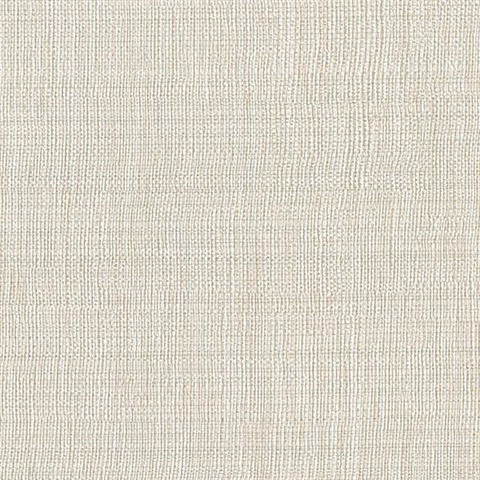 Linen Beige Texture