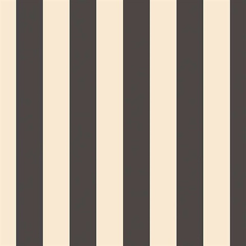usund Klassifikation følgeslutning Black & Off White Stripe | SH34554