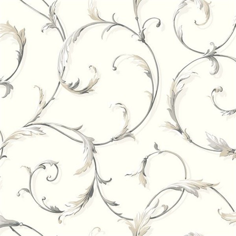 Acanthus Scroll