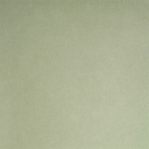 Appolline Light Green Blosm Blotch Texture Wallpaper