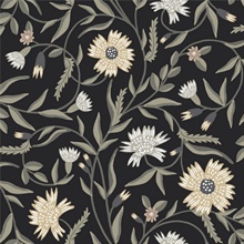 Aster Black Floral Vine Wallpaper