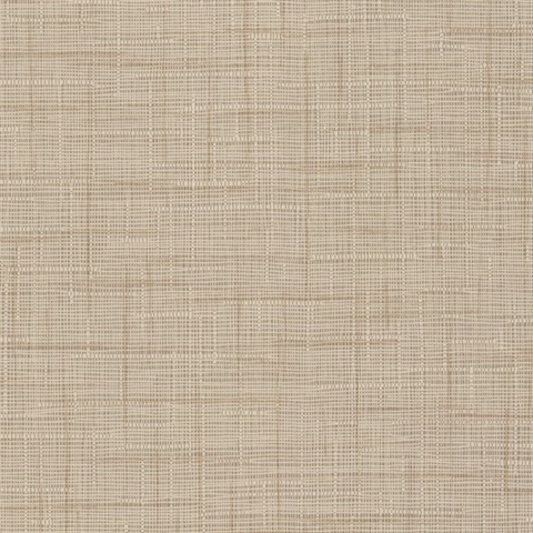 Barbados Warm Taupe