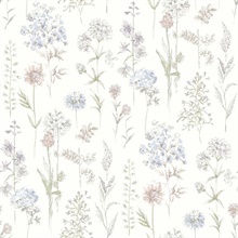 Bergamot Lavender Wildflower Wallpaper