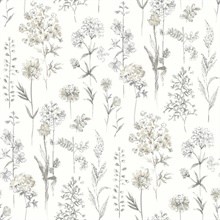 Bergamot Light Grey Wildflower Wallpaper