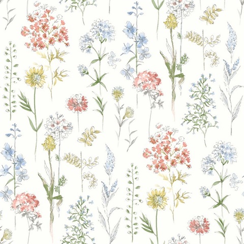 Bergamot Multicolor Wildflower Wallpaper