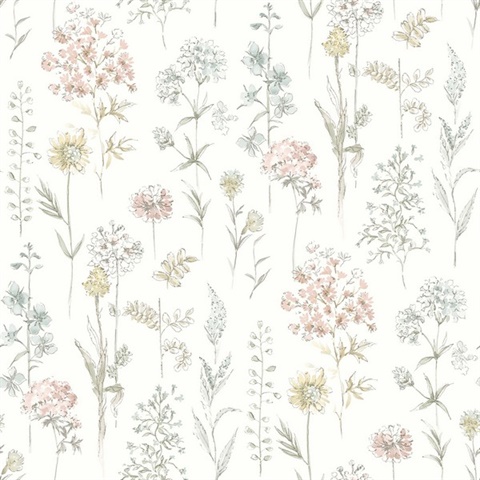 Bergamot Pastel Wildflower Wallpaper