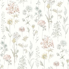 Bergamot Pastel Wildflower Wallpaper