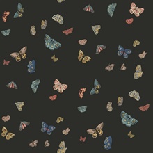 Butterfly House Black Wallpaper