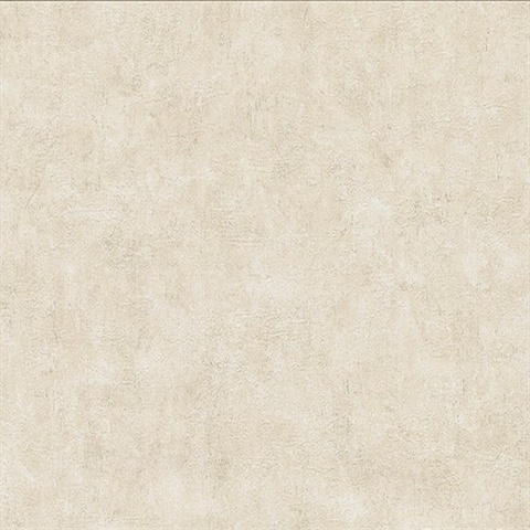 Clegane Beige Plaster Texture