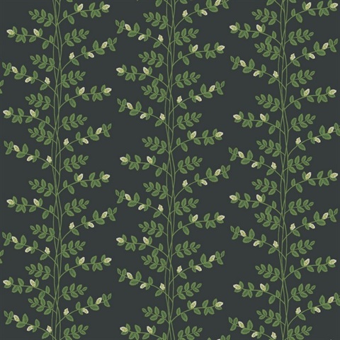 Climbing Vine Stripe Black Wallpaper