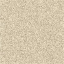 Desert Sand Cream Beige