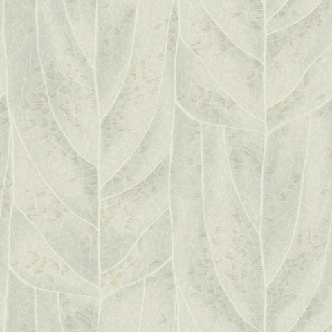 Dicot Light Green Leaf Wallpaper