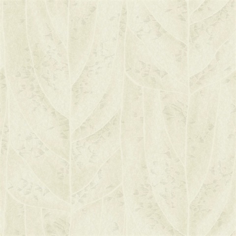 Dicot Pearl Leaf Wallpaper