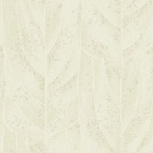 Dicot Pearl Leaf Wallpaper