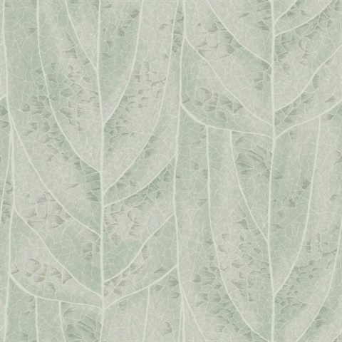 Dicot Spa Leaf Wallpaper