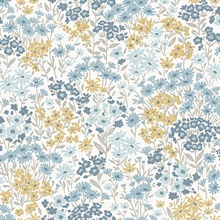 Ditsy Light Blue Daisies Wallpaper