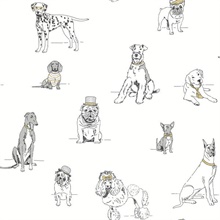 Dog&#39;s Life Peel and Stick Wallpaper