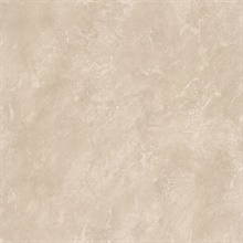 Erith Taupe Marble Texture