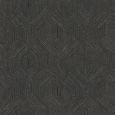 Fine Line Black Geometric Wallpaper