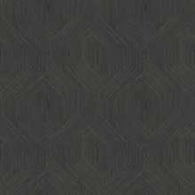 Fine Line Black Geometric Wallpaper