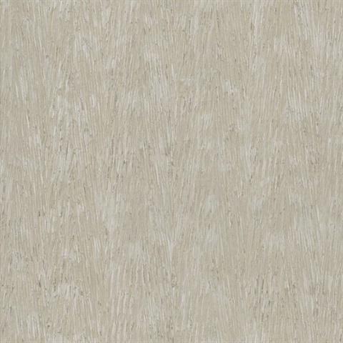 Gilded Plume Warm Grey Textured Wallpaper