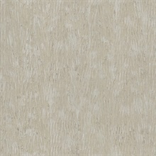 Gilded Plume Warm Grey Textured Wallpaper