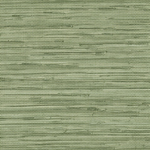 Sisal Grasscloth Wall Paper Green Wallpaper For Home Decoration Hotel   Wallpapers  AliExpress