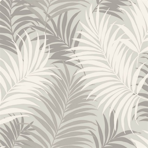LN10108 | Grey & White Tropical Large Palm Leaf Wallpaper