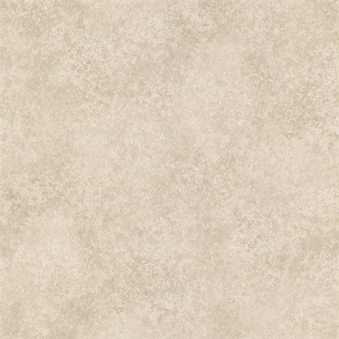 Hazel Taupe Marble Texture