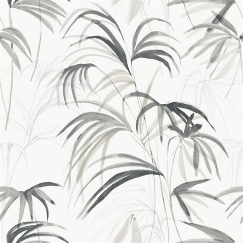 Inky Black Palms Wallpaper