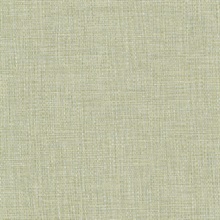 Jacquard Weave Kiwi