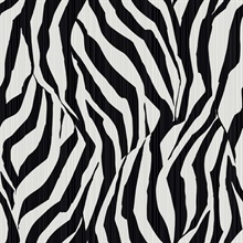 Kodiak Jet Modern Zebra Wallpaper