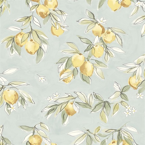 Lemonade Aqua Citrus Fruit Wallpaper