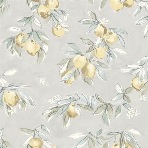 Lemonade Charcoal Citrus Fruit Wallpaper